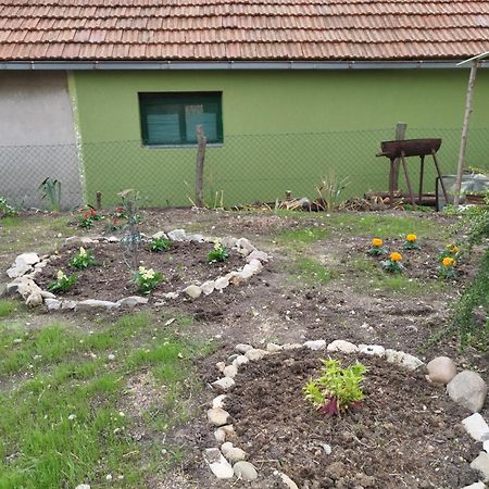 Stancic 019 Apartment Зайечар Екстериор снимка