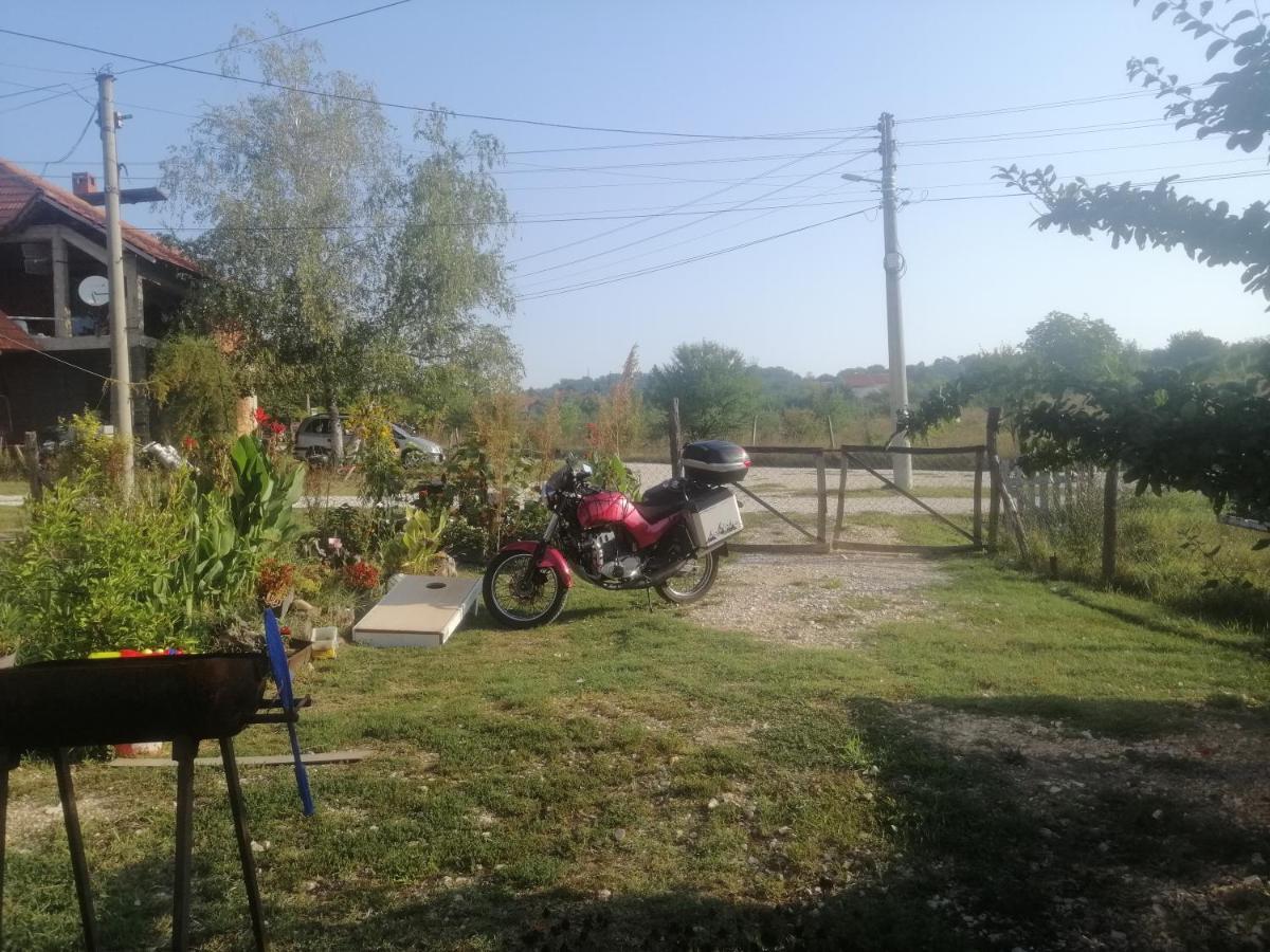 Stancic 019 Apartment Зайечар Екстериор снимка
