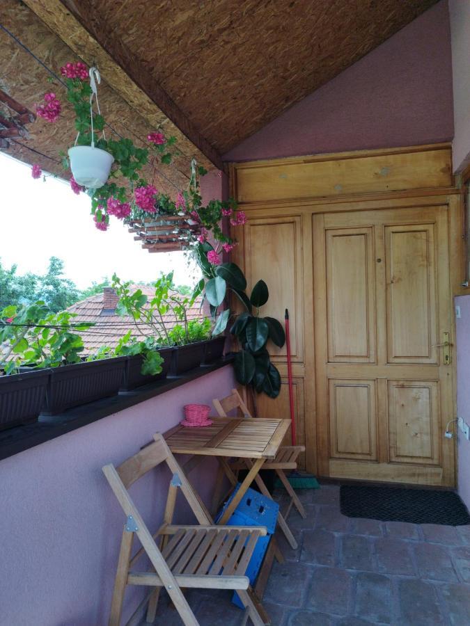 Stancic 019 Apartment Зайечар Екстериор снимка