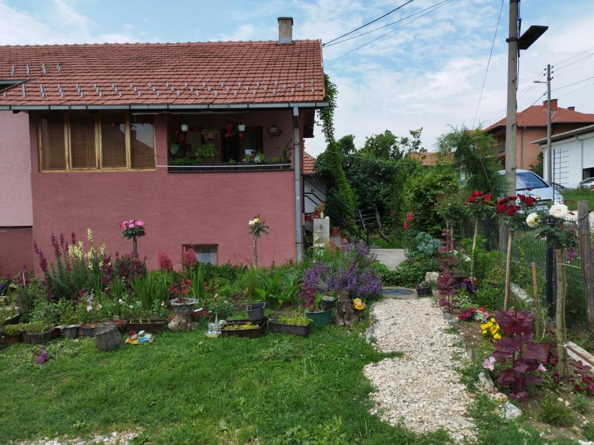 Stancic 019 Apartment Зайечар Екстериор снимка