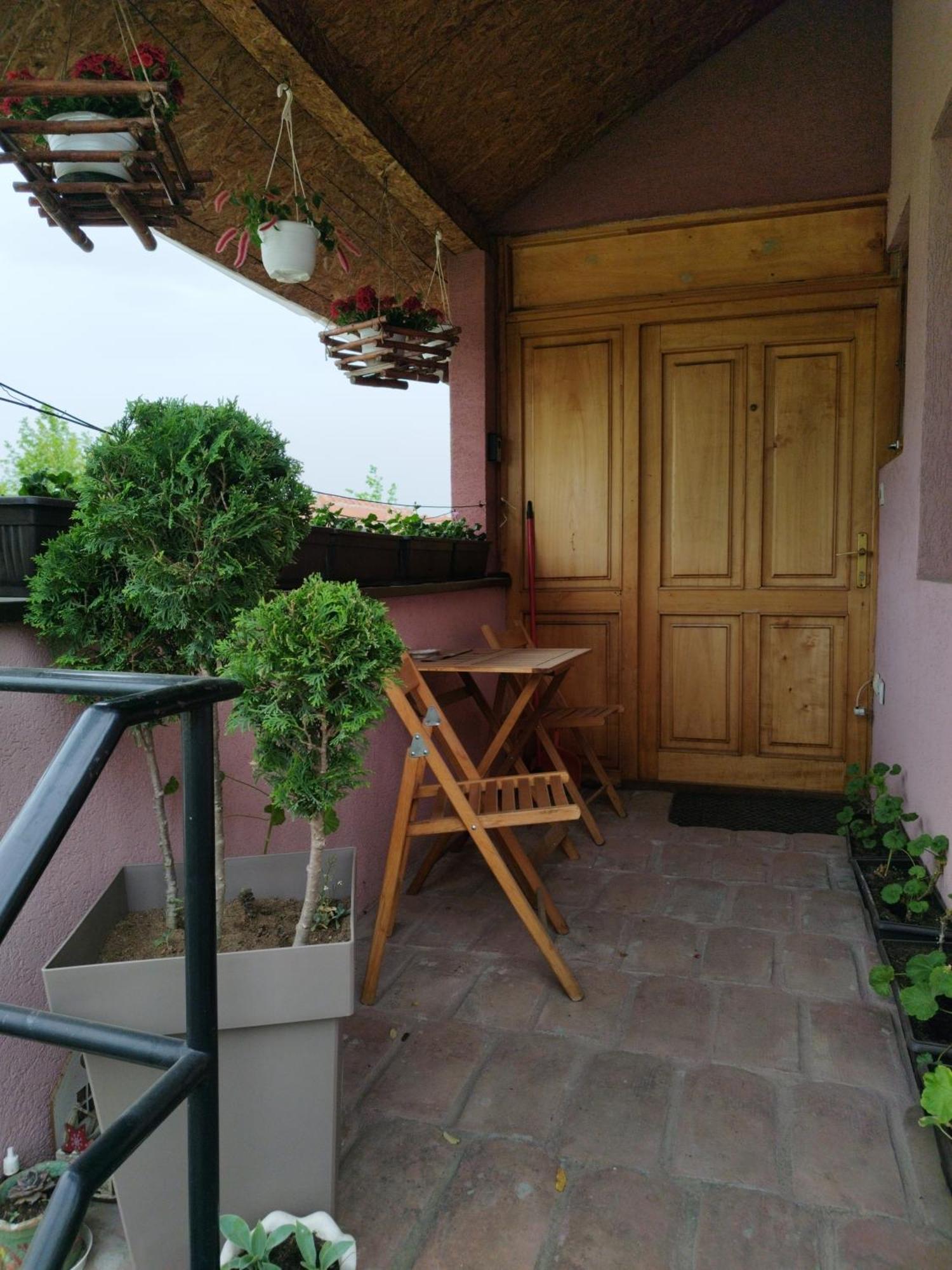 Stancic 019 Apartment Зайечар Екстериор снимка
