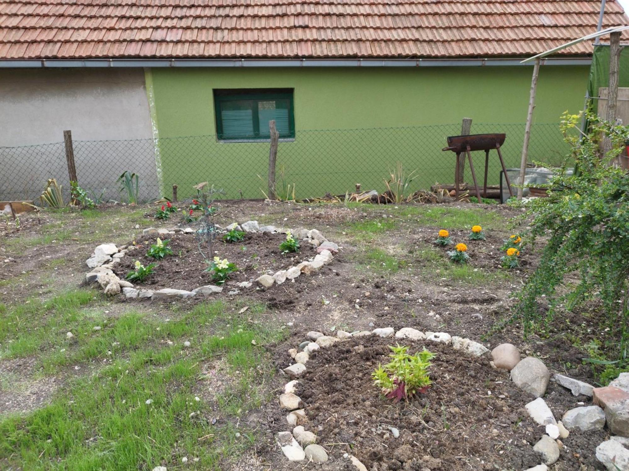 Stancic 019 Apartment Зайечар Екстериор снимка